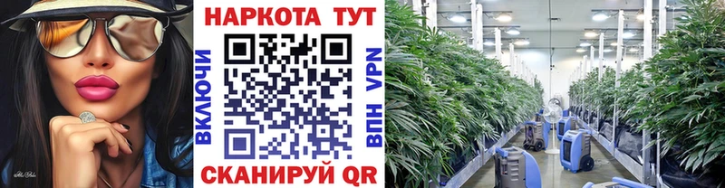 Наркотические вещества Кимры Галлюциногенные грибы СК Меф мяу мяу МАРИХУАНА