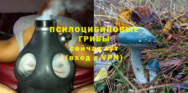 шишки Бугульма