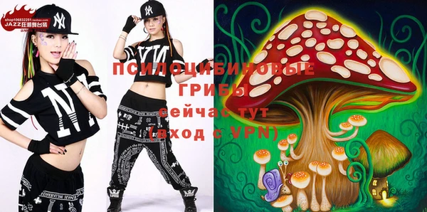 мдма Бородино