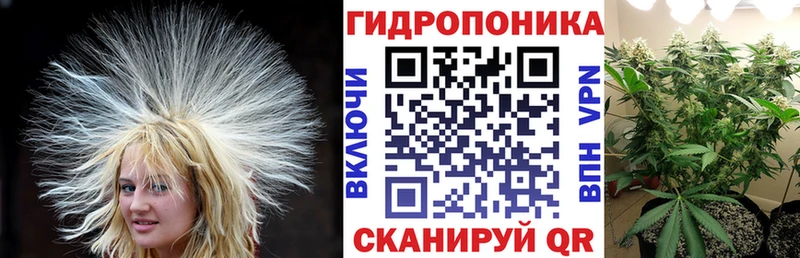 shop официальный сайт наркотики mega Кимры Конопля Amnesia